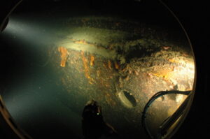 underwater nautilus side